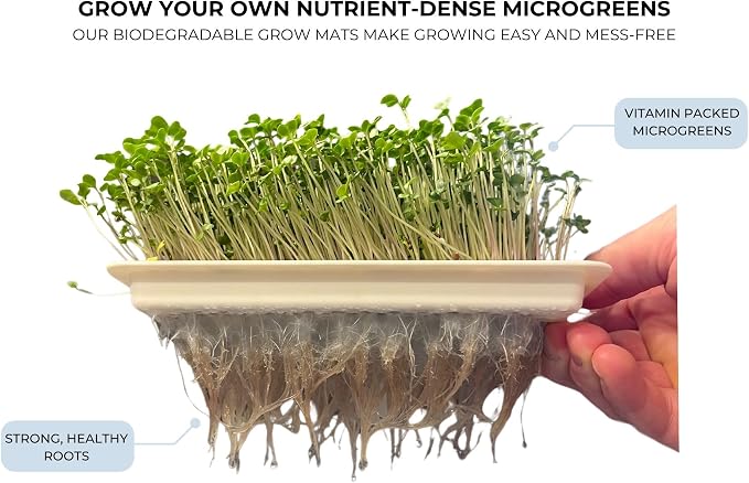 Sproutlet Self-Watering Microgreens Growing Kit – Easy Indoor Garden for Fresh Microgreens in Days – Reusable Trays, Organic Seeds & Grow Mats – No Soil, No Mess (Pearl, 1-Pack)