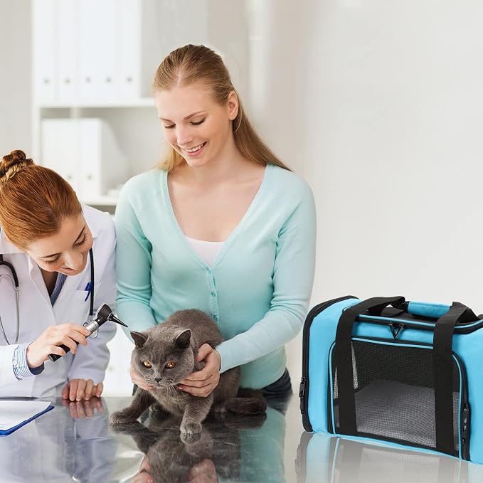 Pnimaund Large Pet Carrier, Soft Sided Cat Carriers for Large Cats Under 20 lbs, Soft Dog Carriers for Medium Dogs Small Dogs, Collapsible Cat Carrier for 2 Cats Travel Carrier -Blue