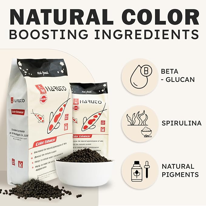 HARUTO Koi Food Color Enhancer 11lb - Color Enhancement & Scale Appearance | Spirulina & astaxanthin blend - color enhancing koi food supporting vibrant scale color, appearance care & color retention.