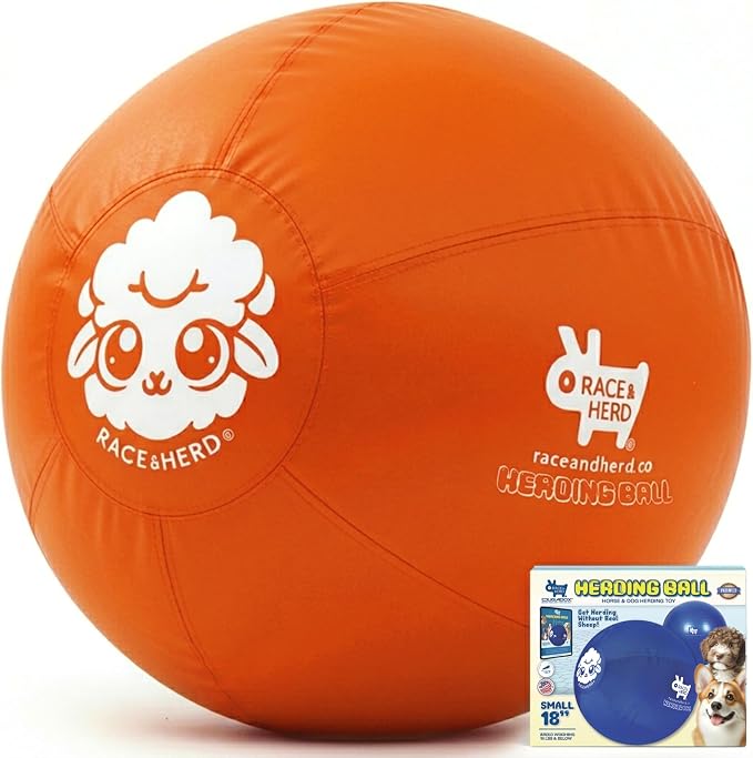 Race&Herd 18" Original XXL Herding Ball for Dogs - Herding Toys, Giant Dog Ball for Australian Shepherds, Border Collies - Durable Dog Outdoor Training Toy for Small Breeds (Tangerine)
