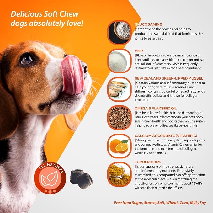 ArthriMAXX Hip & Joint Soft Chews for Dogs – Tasty Liver-Flavored Mobility Support Treats for Daily Comfort and Flexibility