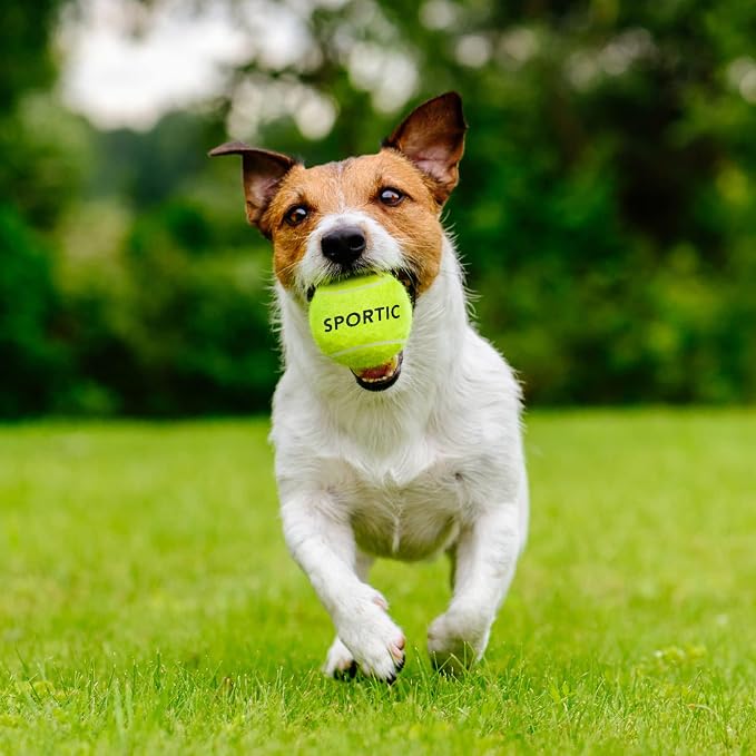 SPORTIC Tennis Balls, Duty Felt Pressurized Tennis Ball with Mesh Bag for 12PC or 36PC -High Bounce Training Exercise Tennis Balls for Beginners & Pet Dog Playing Balls, 3/4/12/36 PCS