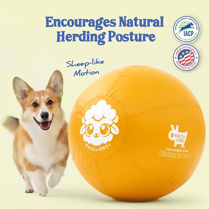 Race&Herd 18" Original XXL Herding Ball for Dogs - Herding Toys, Giant Dog Ball for Australian Shepherds, Border Collies - Durable Dog Outdoor Training Toy for Small Breeds (Gold)
