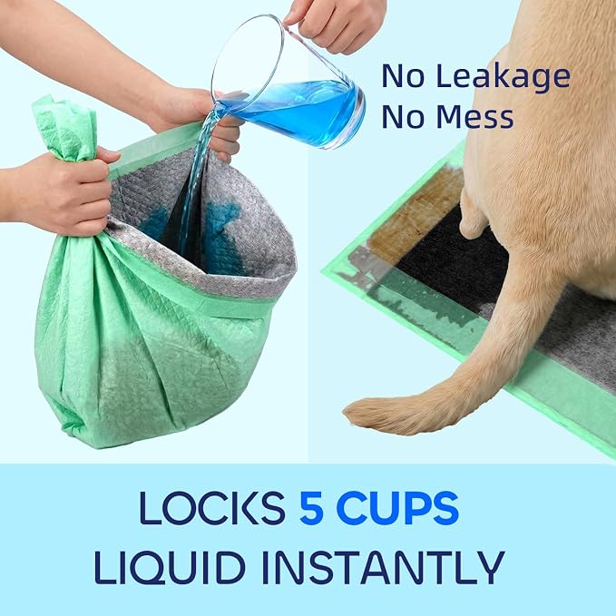 Pawtasy Charcoal Dog Pee Pads, 100 Count,22" x 22" Small Disposable Puppy Training Pads with Bamboo Charcoal Odor Control, 5-Layer Super Absorbent & Leak-Proof Pet Potty Pads for Dogs, Cats & Pets