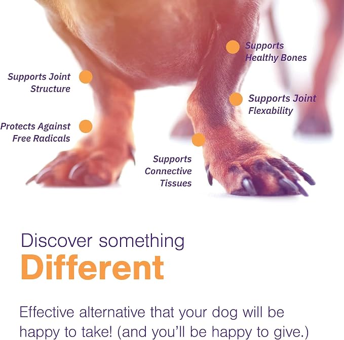 MOVOFLEX Soft Chews Hip and Joint Support Supplement for Medium Dogs - 60 Count By Virbac