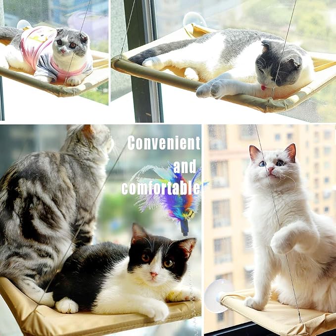 ZALALOVA Window Cat Seat, Cat Window Perch Hammock Space Saving Design w/1Pc Funny Cat Toy 1Pc Extra Suction Cup Window Seat Cat Shelves All Around 360° Sunbath Holds Up to 50lbs for Any Cat Size
