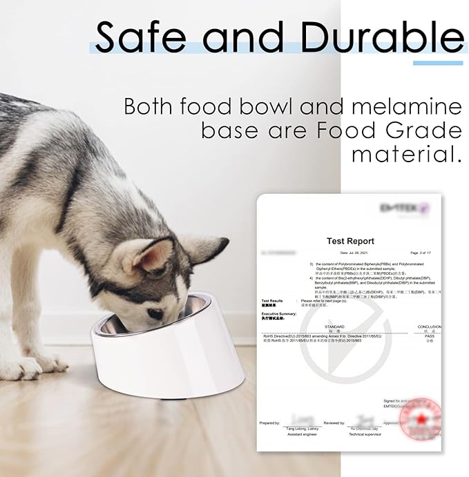 SuperDesign Mess Free 15° Slanted Bowl for Dogs and Cats, Tilted Angle Bulldog Bowl Dog Feeder, Non-Skid & Non-Spill, Easier to Reach Food S/0.5 Cup White