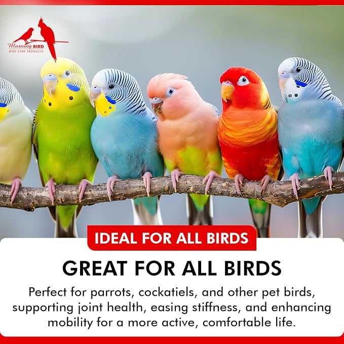 Morning Bird Joint & Mobility 2 fl oz – Herbal Liquid Supplement for Birds – Supports Joint Health, Muscle Comfort & Mobility – Ideal for Aging or Recovering Birds