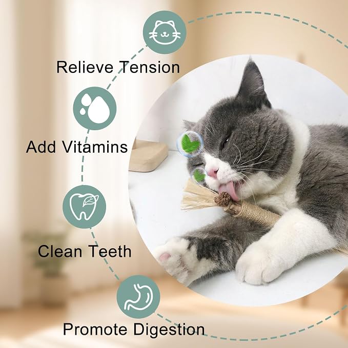 7-in-1 Kitten Toys for Indoor Cats with Washable Adhesive Suction Cup, Hanging Interactive Cat Toys, Silvervine Stick and Sisal Chew Rope Catnip Teething Toy for Bored Kitten