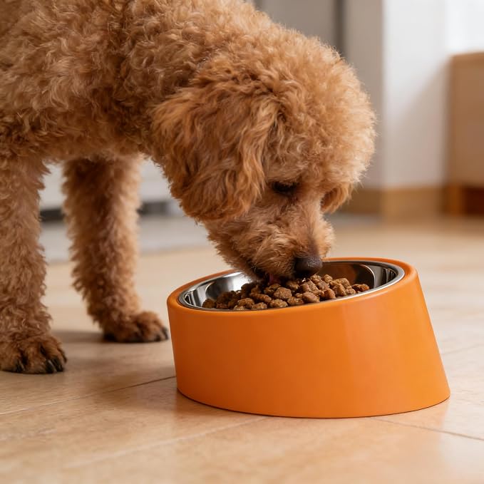Slow Drinking Dog Water Bowl - Tiny Pet Feeder Orange (S Size) - Anti-Spill Small Breed Bowl, Food-Grade Safe for Puppies/Kittens/Hamsters