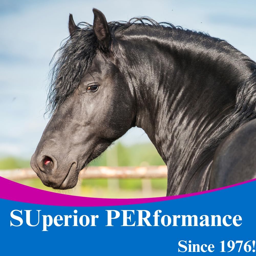 SU-PER Gain Weight for Horses - Equine Supplement Weight Gainer for Horses - Promotes Lean Muscle Mass, Digestion & Appetite - 10 Pound, 1 Month Supply