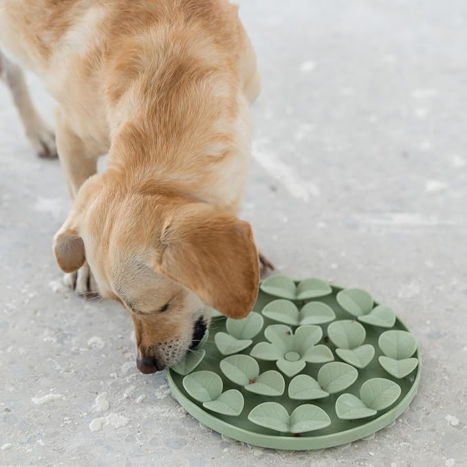 Dexypaws: Enrichment Snuffle Mat: Sage Green Circle - Textured Dog Feeding Pad, Food Grade Silicone, Spread Food & Treats, Pet Soothing, Suction Back