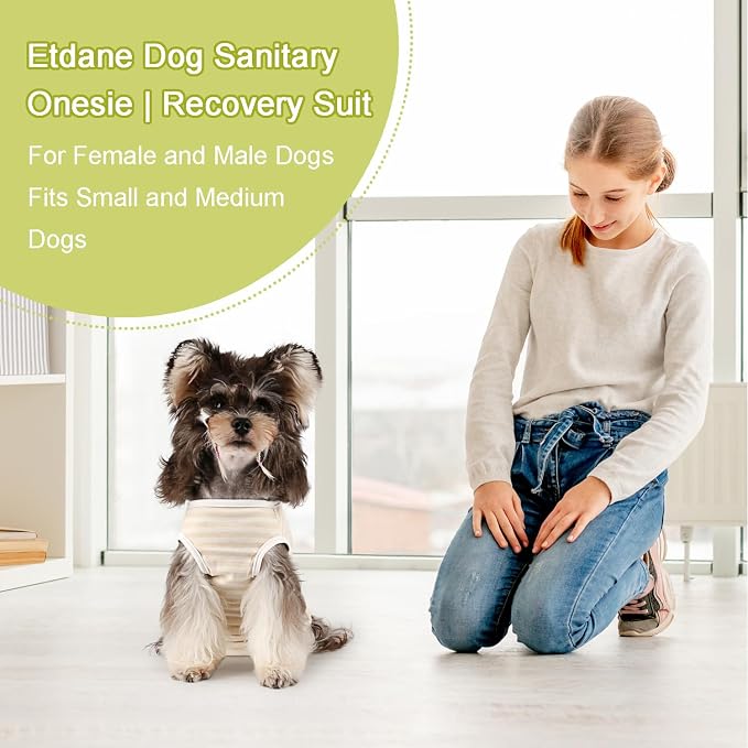 Etdane Dog Period Diapers Small Dog Sanitary Panties Period Suit for Male Female Dogs Diaper Cover for Heat Yellow/Small