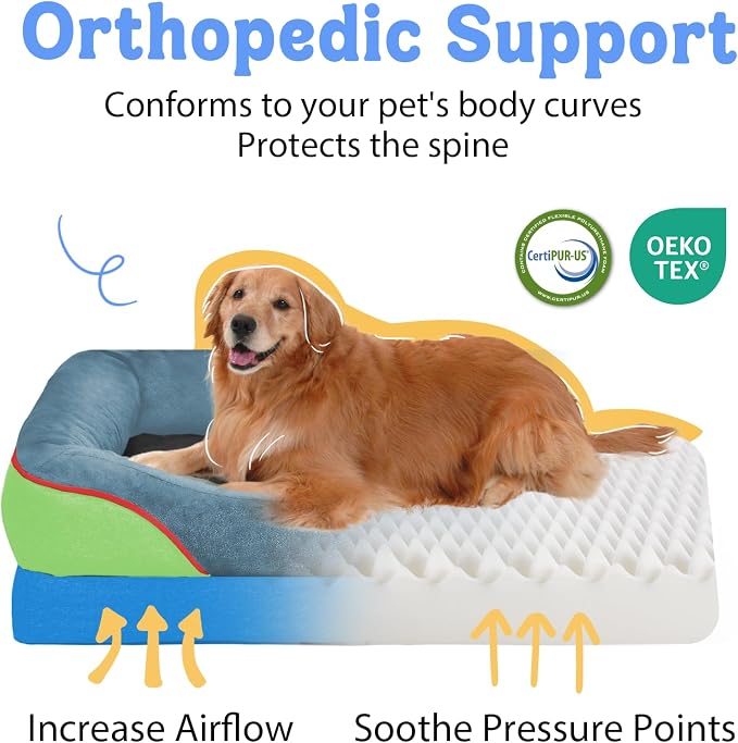 Chez Paw Large Orthopedic Dog Bed for Extra Large Dogs, Waterproof XL Egg-Crate Foam Dog Bed with Removable Washable Cover & Non-Slip Bottom, 4-Sided Bolster Support, Blue Lime 42"x30"x7.5"