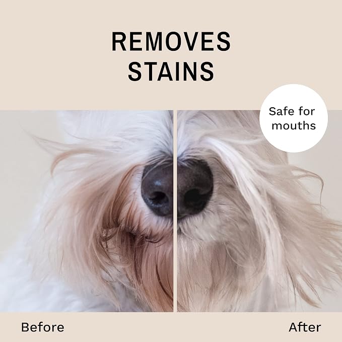 Eye Envy Beard Stain Remover Spray for Dogs/Cats. Natural, Safe. Remove Stains from Drooling, Saliva, Food, Runoff from Tearing. Removes Odors. Keeps Dog Beards Clean. 4oz