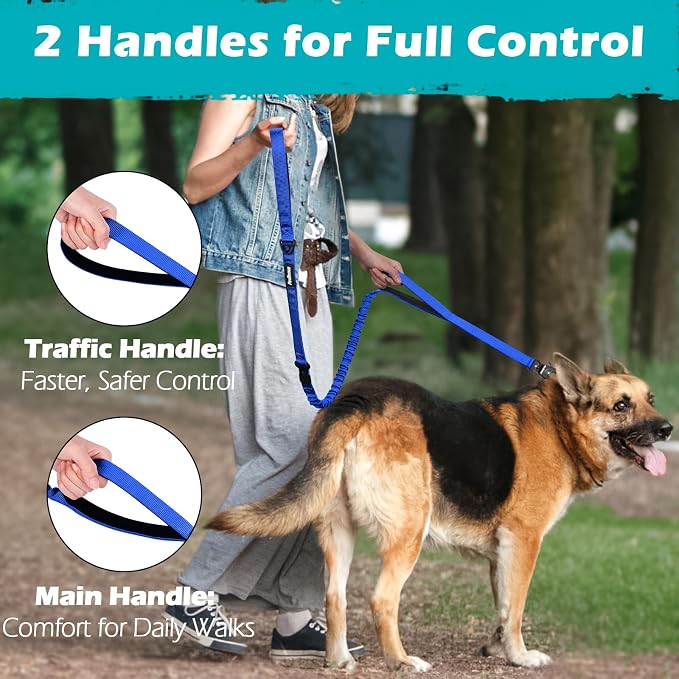 PetBonus Heavy Duty Tactical Dog Leash and 2-Pack Large Silicone Collapsible Dog Bowls