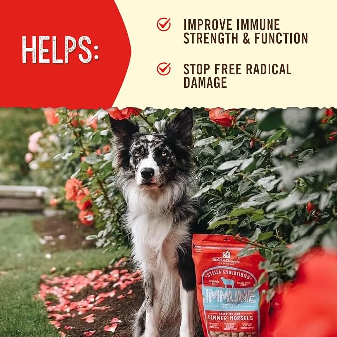 Stella & Chewy's Freeze-Dried Raw Dog Food for Immune Support - Grass-Fed Lamb - Natural Solution for Immune Defense & Overall Wellness - Premium Raw Nutrition - 13oz