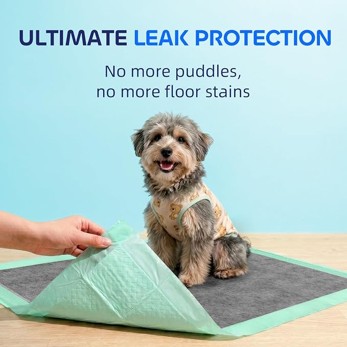 Pawtasy Charcoal Dog Pee Pads, 50 Count,22" x 22" Small Disposable Puppy Training Pads with Bamboo Charcoal Odor Control, 5-Layer Super Absorbent & Leak-Proof Pet Potty Pads for Dogs, Cats & Pets