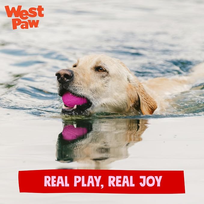 WEST PAW Boundr Ball Dog Fetch Toy – Bouncing Toys for Dogs, Fetch, Catch, Chewing, Play – Floatable, Recyclable Balls – Small Hotpink/Glow 2-Pack