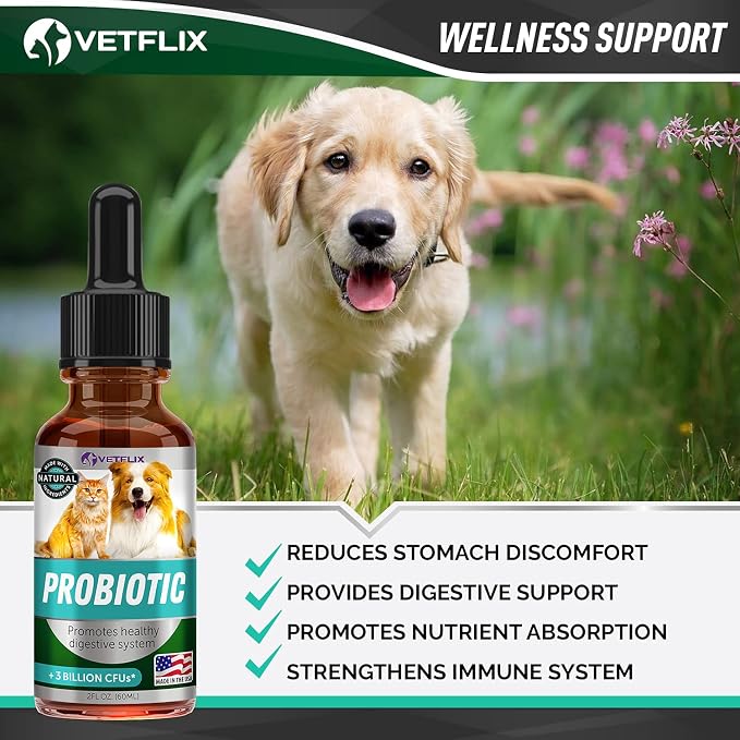 Premium Probiotics Liquid for Dogs, Cats, Puppies and Kittens, 2 Fl Oz | Digestive Enzymes, Prebiotics Supplement, Supports Digestive Health, Gut Balance