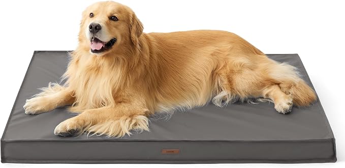 LE SURE Outdoor Waterproof Dog Bed for Extra Large Dogs, Orthopedic Egg Crate Foam Pet Bed with Oxford Fabric Surface and Removable and Durable Cover, Machine Washable, 44''x32'', Grey