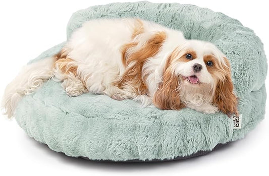 EHEYCIGA Soft Cat Couch Bed for Indoor Cats, Fluffy Small Dog Bed with Removable Washable Cover, Bolster Pet Sofa, Waterproof and Non-Slip, 23" x 23"x 7", Green