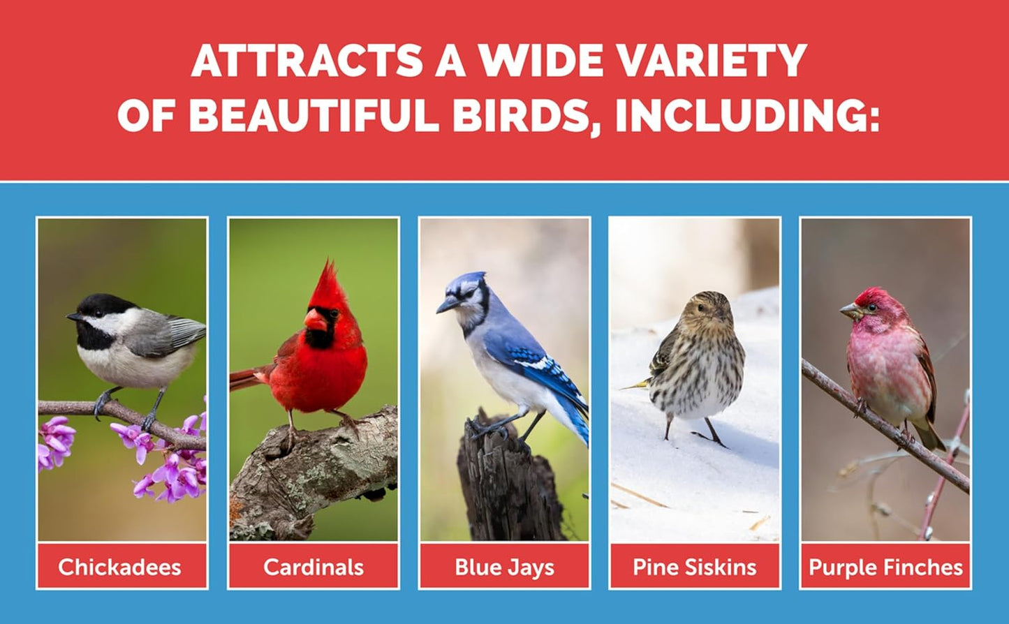 Pennington Select Birder's Blend 15 lbs.