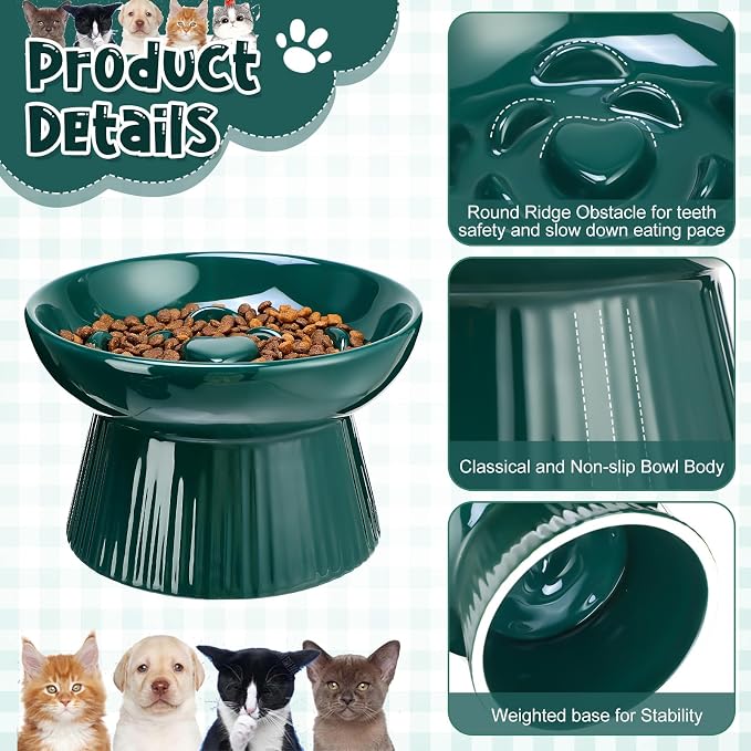 Tioncy 2 Pcs Raised Cat Slow Feeder Bowl Ceramic Elevated Cat Dog Food Bowl No Spill High Edge for Dry Wet Food and Water Easy to Clean, Dishwasher Safe (Dark Green,Blue)