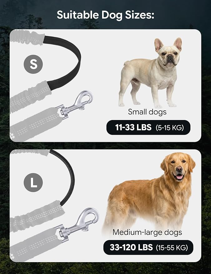 Pecute Hands-Free Dog Walking Belt Bundle: Shock-Absorbing Bungee Leash + 22oz Portable Water Bottle with Food Container, for Running Hiking Training