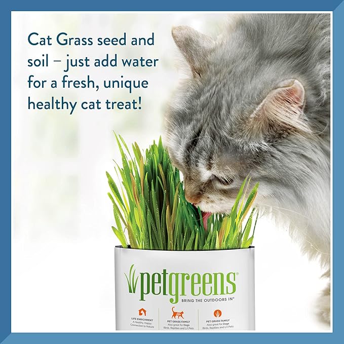 Pet Greens 4 Pack Cat Grass Garden Wheatgrass self Grow and Medley Oat, Rye and Barley, 2 of Each 3oz Package