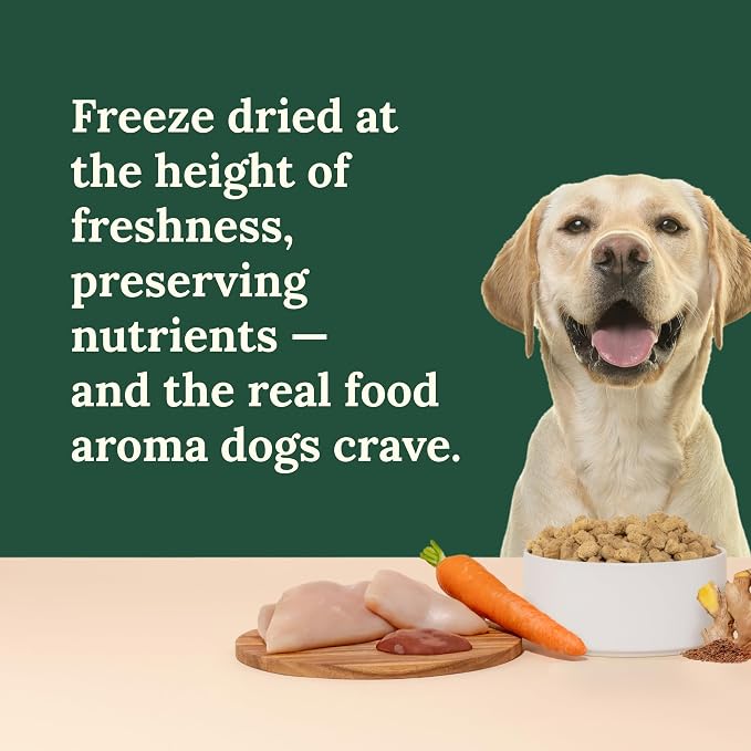 360 Pet Nutrition Freeze-Dried Raw Dog Food – Chicken Recipe with Liver & Organs, High Protein, Omega-3s, Fruits, Veggies & Superfoods, Grain-Free, No Fillers, 1 lb – Made in USA