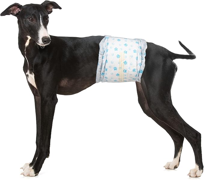 Pet Soft Disposable Male Dog Wraps - Dog Diapers for Male Dogs, Puppy Diapers with Wetness Indicator 48 Counts Medium