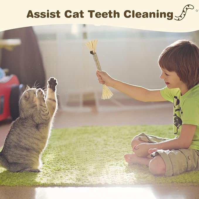 Silvervine Sticks for Cats - Cat Chew Toy for Teeth Cleaning, Edible Matatabi Kitty Chew Sticks, Catnip Cat Toys for Indoor Cats (4, Grey)