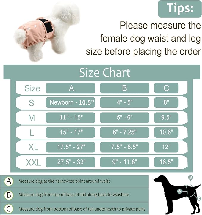 Washable Female Dog Diapers (3 Pack) - No Leak Reusable Diapers for Doggy Female in Period - Highly Absorbent Dog Heat Panties with Adjustable Snaps XL