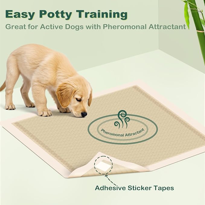 MIZOK Puppy Pads Small 22x22 Pee Pads for Dogs Bamboo Odor Eliminating & 6-Layer Absorbent Leak-Proof Dog Pee Pads Potty Training with Adhesive Tabs, Disposable (100 Counts)