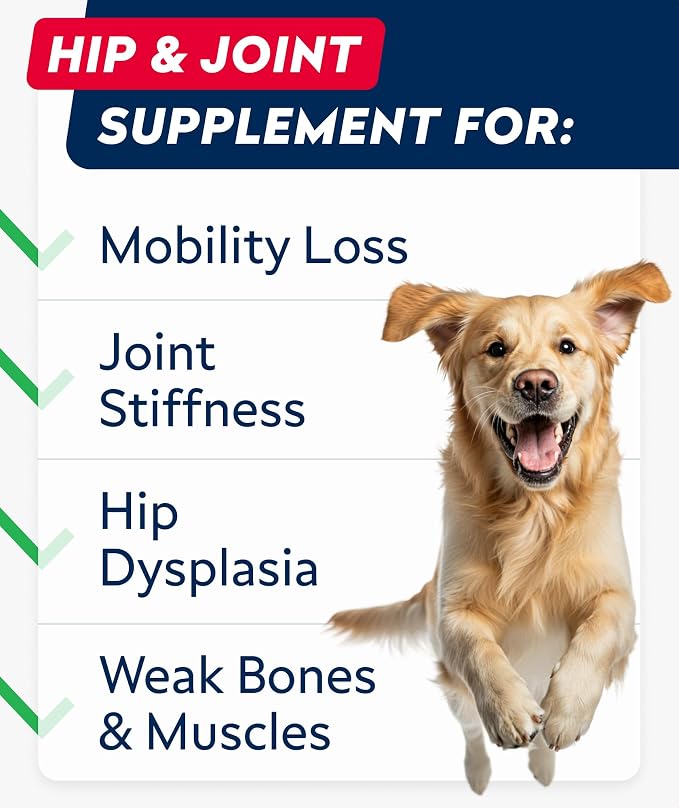 Glucosamine Treats for Dogs - Joint Supplement w/Omega-3 Fish Oil - Chondroitin, MSM - Advanced Mobility Chews - Joint Pain Relief - Hip & Joint Care - Peanut Butter Flavor - 180 Ct - Made in USA