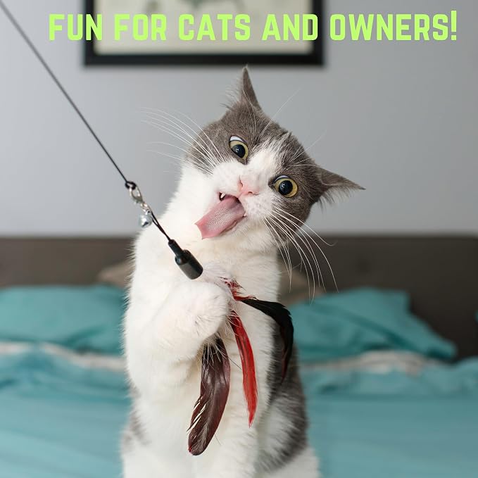 Smokey's Stash Cat Catnip Spray, Dried Organic Catnip, 2pc Fishing Poles and Funny Toy Refills