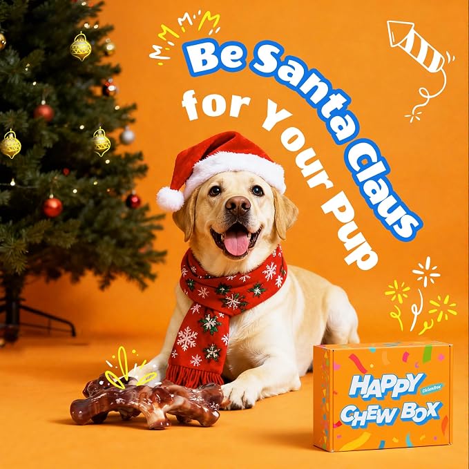 Dog Toys for Aggressive Chewers: Gift Box with 3 Pack Dog Chew Toys, Indestructible Dog Toy for Large Dogs Birthday, Bacon Flavored Chew Toys for Dogs, Tough Dog Toys to Keep Them Busy