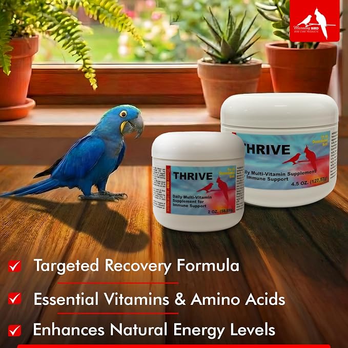Morning Bird Thrive 2 oz – Daily Multi-Vitamin Bird Supplement for Immune & Recovery Support – Ideal for Sick, Injured, or Recovering Birds – Energy & Wellness Formula for Adult Birds