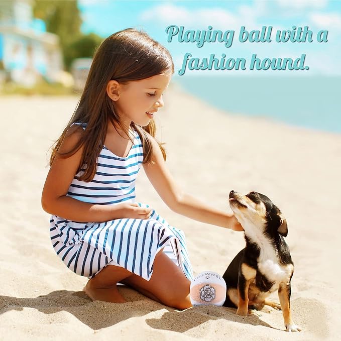 Dog Diggin Designs Chewnel Collection – Set of 2 Unique, Squeaky, Parody Plush Toys That Includes a Chewnel Bone and a Chewnel Ball