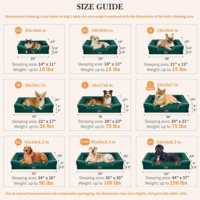 Comfort Expression Orthopedic Dog Bed for Large Dogs 38x25 Inch, Waterproof Supportive Egg Crate Foam Large Pet Bed with Removable Bolsters, Dog Couch with Washable Cover & Non-Slip Bottom, Emerald