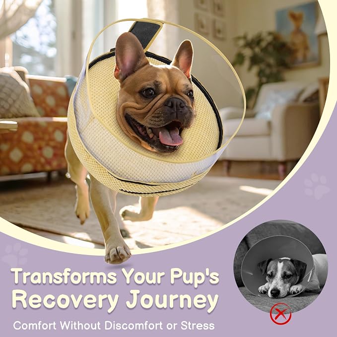 Soft Inflatable Dog Cone for Surgery Recovery, Protective Dog Donut Collar with Shield to Stop Licking Wounds, 2-in-1 Patented Comfort Blow-Up Collar for Small and Medium Pets (Khaki, M+)