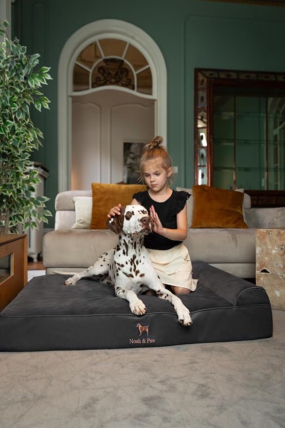 NOAH & PAW XL Dog Bed, 45x35x9.1 Inch, Orthopedic Large Dog Beds, Eggshell Memory Foam Infused with Cooling Gel, Water Resistant, Machine Washable, Includes Inner Cover (Faux Leather)