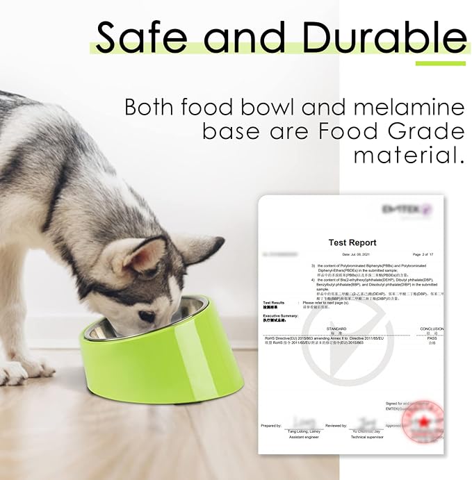 SuperDesign Mess Free 15° Slanted Bowl for Dogs and Cats, Tilted Angle Bulldog Bowl Dog Feeder, Non-Skid & Non-Spill, Easier to Reach Food M/1 Cup Green