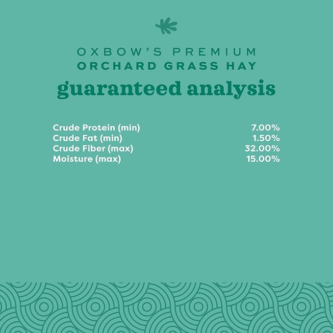 Oxbow Animal Health Orchard Grass, Guinea Pig Hay, Rabbit Hay, Small Pet Bunny Supplies, All Natural Grass for Guinea Pig, Bunny, Chinchilla & Hamster, Oxbow Rabbit Supplies for Bunnies, 9 lb. box