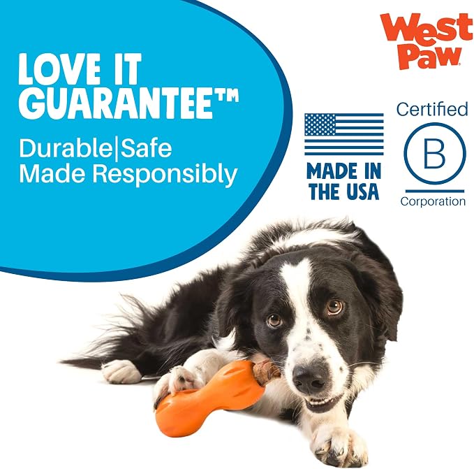 WEST PAW Qwizl Durable Zogoflex Dog Puzzle Toy for Mental Stimulation, and Enrichment - Treat Dispensing for Bully Sticks and Dental Sticks - Dishwasher Safe - Made in USA - Large - Aqua