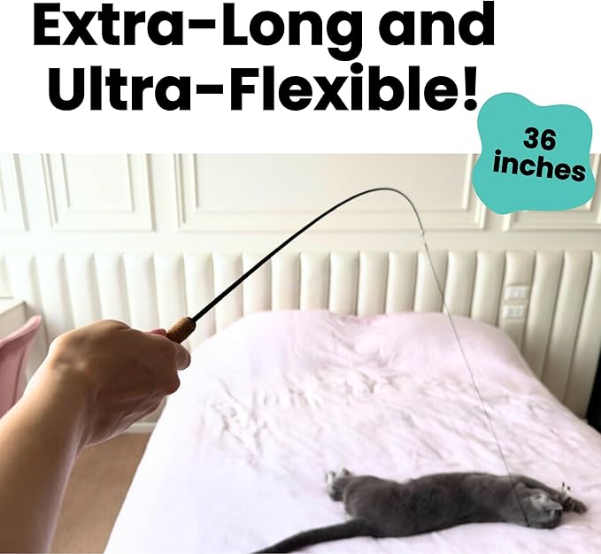 Forever Stick 2-Pack - The Unbreakable Cat Wand Toy, Durable Cat Toy Wand, Extra Long Cat String Toy, Cat Fishing Pole Toy for Bored Indoor Adult Cats, Cat Stick Toy, Cat Feather Wand, Cat Teaser Wand