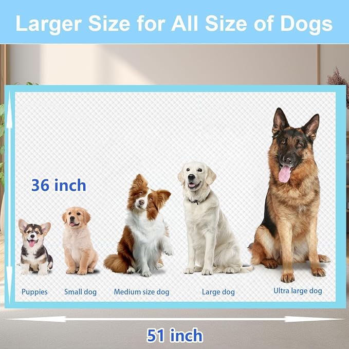 XXXXL Puppy Pee Pads for Dogs 36"x51" 100 Count, Extra Large Dog Pee Pads, Leak-Proof & Super Absorbent Dog Pee Pads, Thicken Disposable Potty Pads Puppy Training Pads for Cats Rabbits