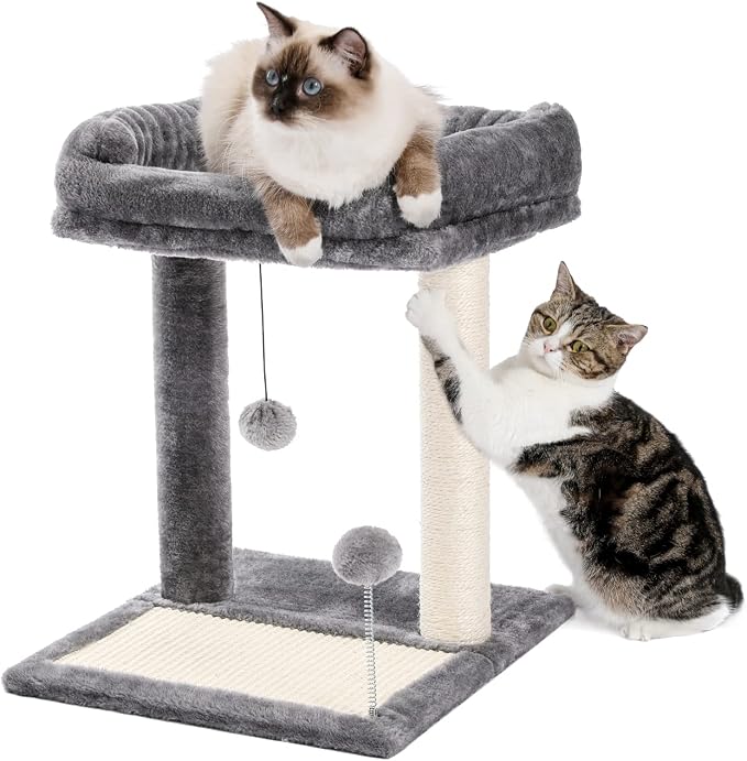 PAWZ Road Cat Scratching Post Bed Bundle with PAWZ Road Cat Tunnel 51 Inches Long Cat Toys Collapsible Tunnel 12 Inches in Diameter