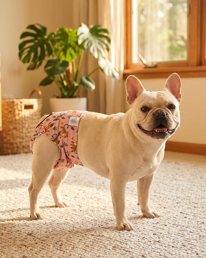 CuteBone Washable Female Dog Diapers 4 Pack Reusable Doggie Heat Diapers for Period FMG07XS